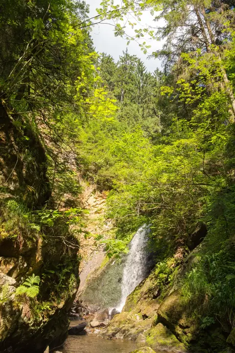 Wasserfall in der Ravennaschlucht, umgeben von grünem Laub und bemoosten Felsen