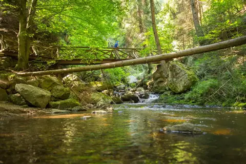Hölzerne Wanderbrücke über klaren Gebirgsbach mit Felsbrocken und üppigem Grün im Schwarzwald