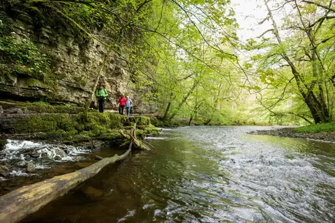 Drei Wanderer an bemoosten Felsen entlang der Wutach, umgeben von frühlingsgrünem Laubwald