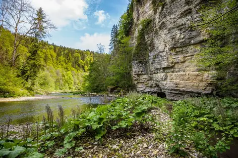 Wutachschlucht: Fluss zwischen bewaldeten Hängen und markanter Felswand mit Vegetation im Vordergrund
