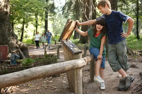 Zwei Kinder öffnen eine Holz-Infotafel auf einem Waldpfad, im Hintergrund weitere Besucher
