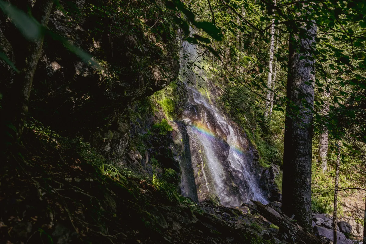 Zweribachwasserfall stürzt über moosige Felsen, im Sprühnebel ein kleiner Regenbogen, umgeben von Schwarzwaldwald