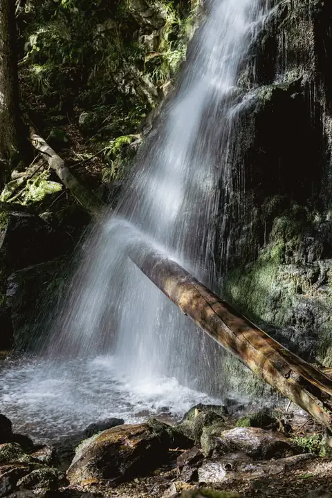 Zweribach-Wasserfall stürzt über moosige Felsen, ein gefällter Baumstamm liegt diagonal im Vordergrund
