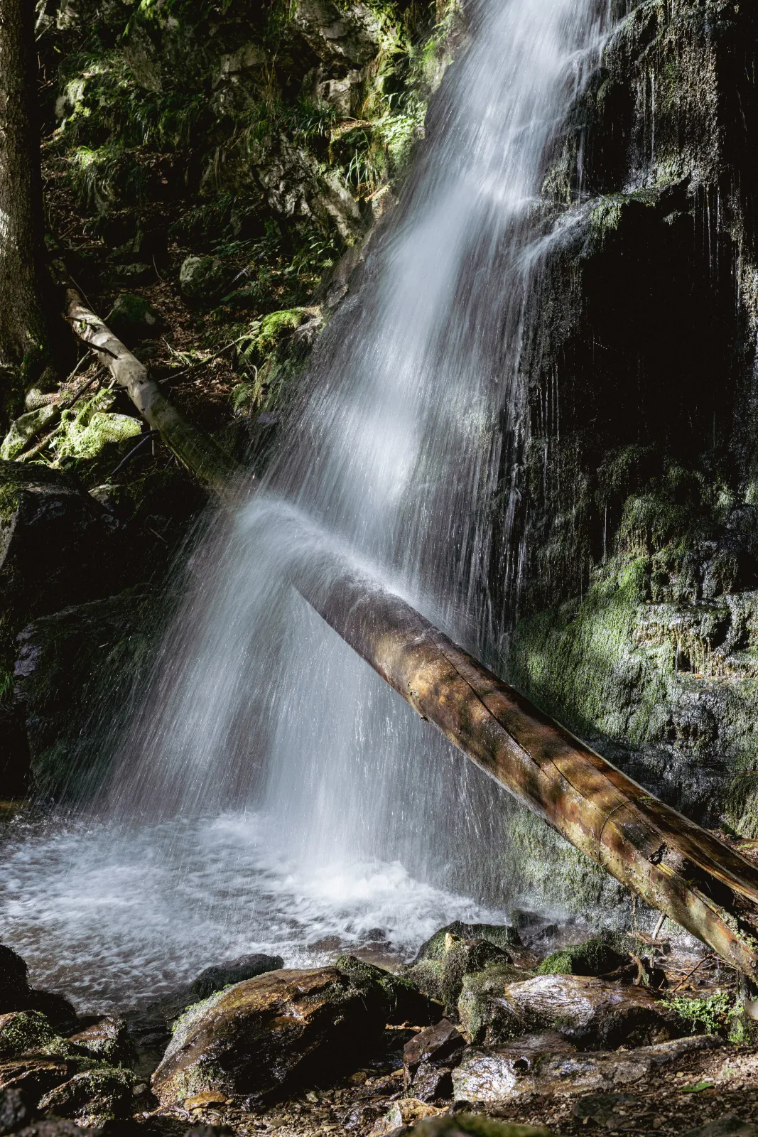 Zweribach-Wasserfall stürzt über moosige Felsen, ein gefällter Baumstamm liegt diagonal im Vordergrund