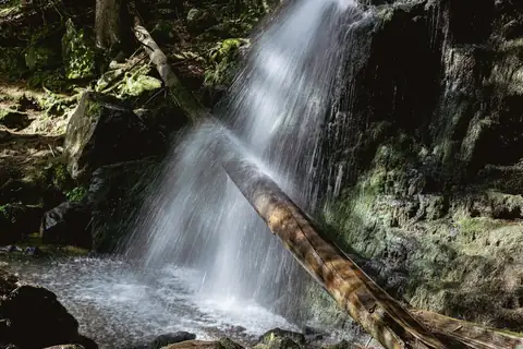 Wasserfall der Zweribach fällt über Felsen, ein liegender Baumstamm kreuzt den Wasserstrahl