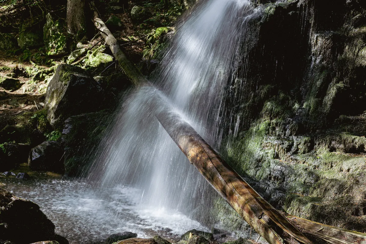 Wasserfall der Zweribach fällt über Felsen, ein liegender Baumstamm kreuzt den Wasserstrahl