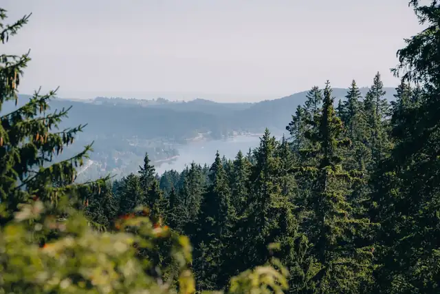 Schöner Aussichtspunkt mit Blick auf die beiden Seen Titisee und Schluchsee.