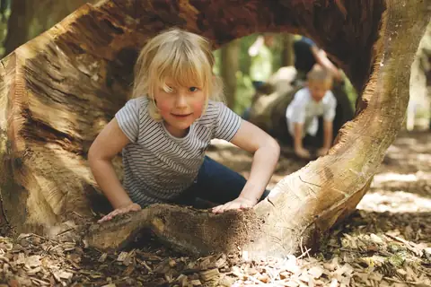 Kleines Mädchen krabbelt durch einen hohlen Baumstamm im Wald, im Hintergrund ein weiteres Kind
