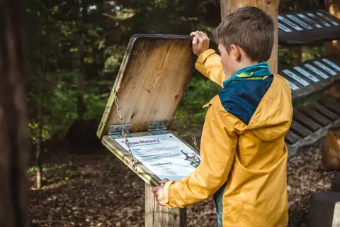 Kind liest an einer hölzernen Informationsstation im Wald eine Tafel zum Baum-Memory