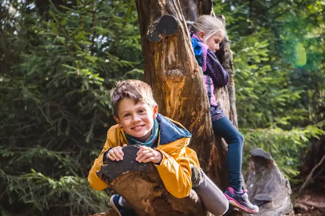 Zwei Kinder sitzen auf einem Baumstamm