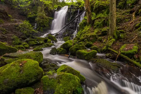 Waldwasserfall stürzt über moosbewachsene Felsen in einen von Moos gesäumten Bach