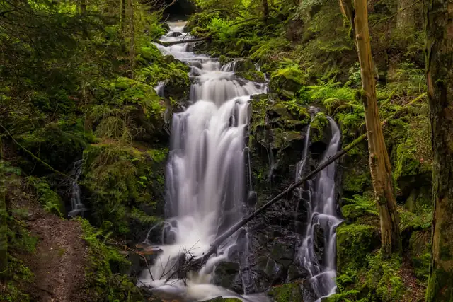 Windbergwasserfall in St. Blasien