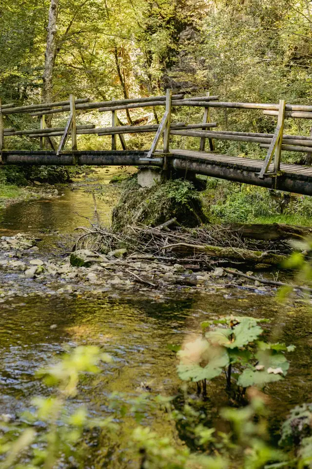 Eine Holzbrücke in der Gauchachschlucht über den Fluss Gauchach.