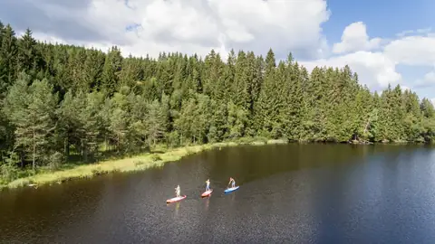 Drei Stand-up-Paddler auf dem Windgfällweiher, umgeben von dichtem Schwarzwaldforst