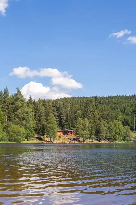 Windgfällweiher mit Badebereich, Holzpavillon am Ufer und umgebendem Schwarzwaldwald im Sommer