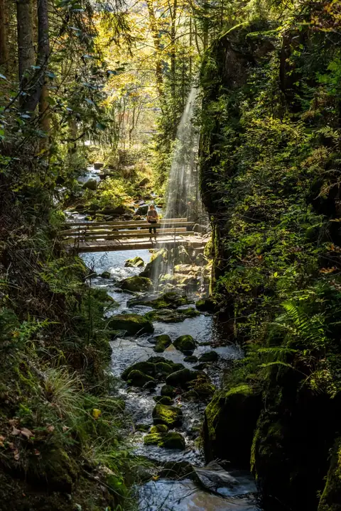 Person sitzt auf Holzbrücke über moosigen Waldbach mit Lichtdurchbruch im Herbstwald