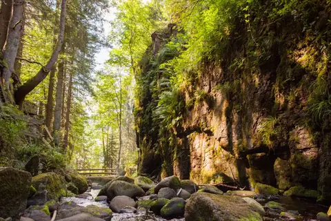 Felsschlucht mit bemostem Bachlauf, Holzbrücke und üppiger Vegetation im Schwarzwald