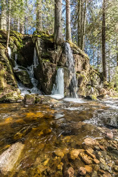 Kleiner Wasserfall über moosbedeckte Felsen im Schwarzwälder Wald mit eisigen Rinnsalen