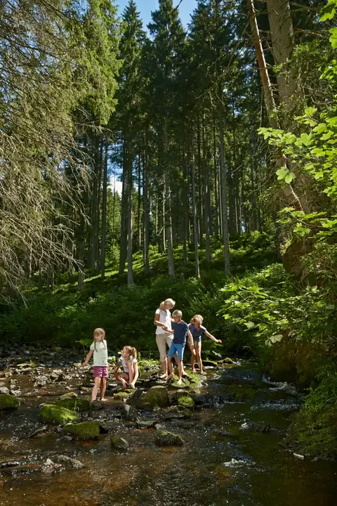 Familie mit Kindern überquert einen Gebirgsbach in einem dichten Schwarzwälder Nadelwald