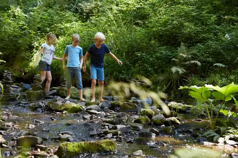 Drei Kinder überqueren barfuß einen Gebirgsbach in grüner Waldlandschaft