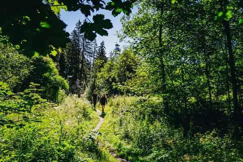 Paar wandert auf schmalem Pfad durch sommerlich grünen Laubwald mit Felswand im Hintergrund