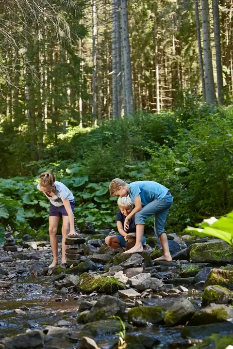 Drei Kinder stapeln Steine an einem Gebirgsbach im Schwarzwälder Wald