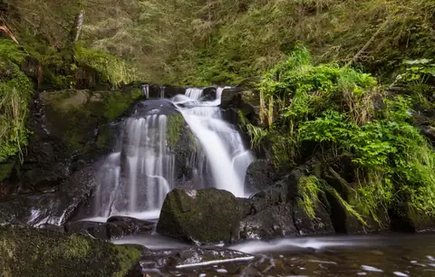 Mehrstufiger Wasserfall über moosbedeckte Felsen im dichten Schwarzwaldwald