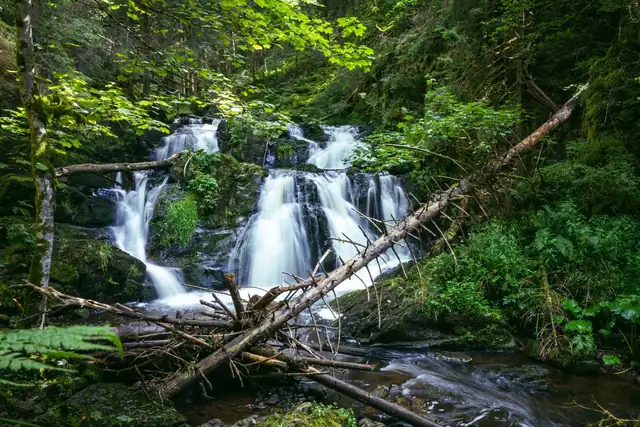 Kleiner Wasserfall in der wildromantische Rötenbachschlucht.