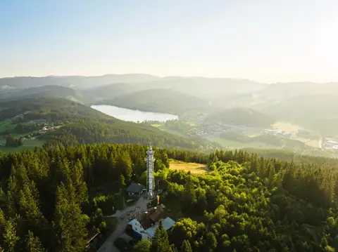 Luftaufnahme des Hochfirstturms mit Blick auf Waldgebiet, Titisee und Ortschaft im Schwarzwald