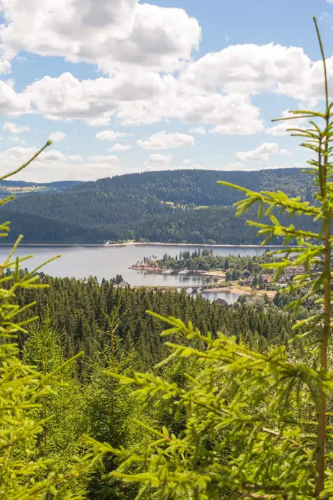 Seepanorama mit bewaldeten Hügeln, im Vordergrund unscharfe Tannenzweige