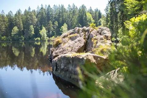 Bemooster Felsblock am Ufer eines Waldsees, gerahmt von Nadelwald und Gras im Vordergrund