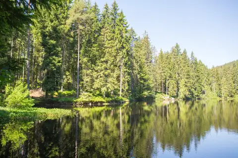 Waldsee mit Fichtenwald und Spiegelung des Ufers im ruhigen Wasser
