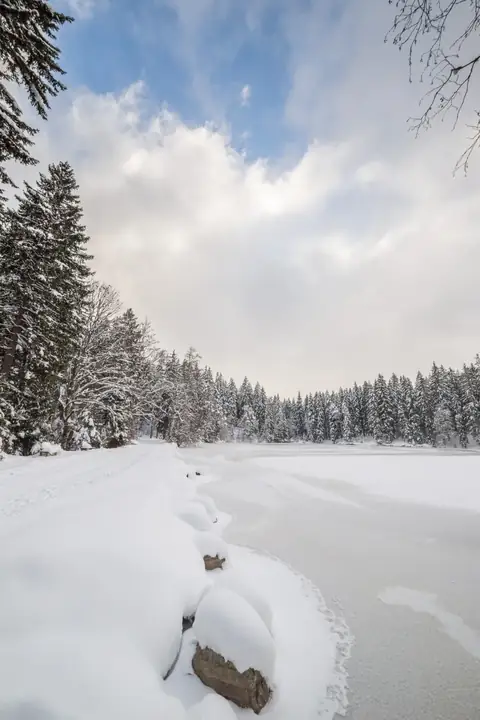 Verschneites Ufer eines zugefrorenen Weihers, umgeben von Nadelwald unter bewölktem Himmel