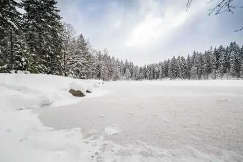 Zugefrorener, schneebedeckter Weiher mit Nadelwaldrand bei bewölktem Himmel