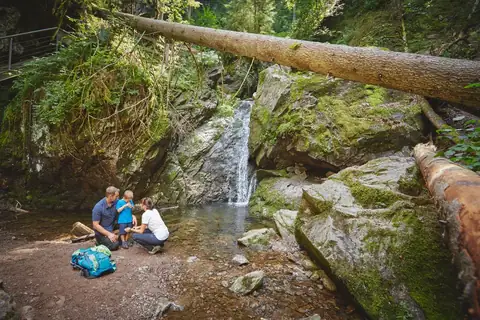 Familie an einem Wasserfall in der Lotenbachklamm, umgefallener Baumstamm überspannt die Schlucht