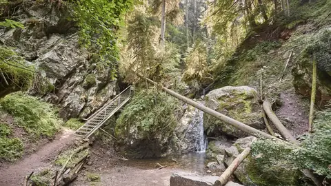 Metalltreppe führt durch die bewaldete Lotenbachklamm an Felswänden und kleinem Wasserfall vorbei
