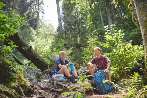 Zwei Wanderer rasten auf bemoosten Felsen in einem Laubwald