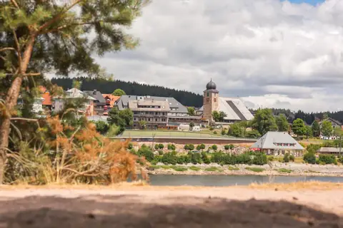 Blick über den Schluchsee auf Ortschaft mit Kirche, im Vordergrund unscharfer Baum und Ufer