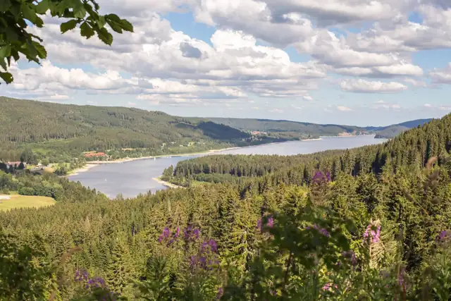 Blick auf Schluchsee-Aha, Jägersteig (Genießerpfad)