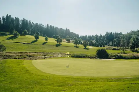 Golfgrün mit Fahne auf Loch 8, umgeben von Wiesenhügeln und Wald