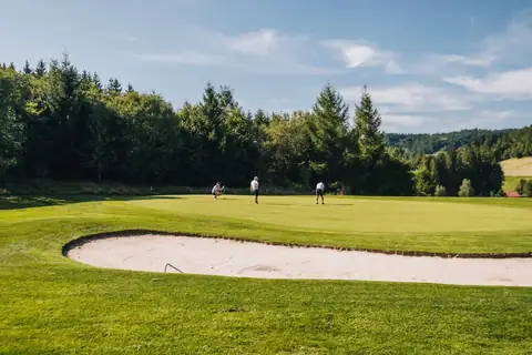 Golfer putten auf dem Grün neben einem Sandbunker, umgeben von Wald