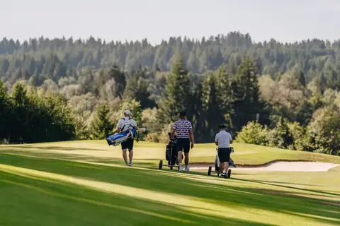 Drei Golfer mit Trolleys gehen über ein Fairway Richtung Bunker vor Waldkulisse