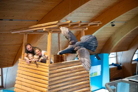 Familie schaut aus Holzturm-Nachbau, daneben Adler-Präparat in Museumshalle