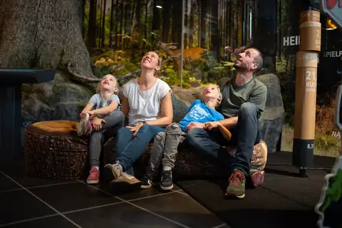 Familie mit zwei Kindern sitzt in naturgetreuer Waldkulisse eines Naturkundemuseums und schaut nach oben.