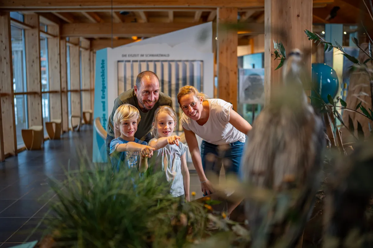 Familie mit zwei Kindern beugt sich über ein Naturausstellungs-Diorama im Haus der Natur