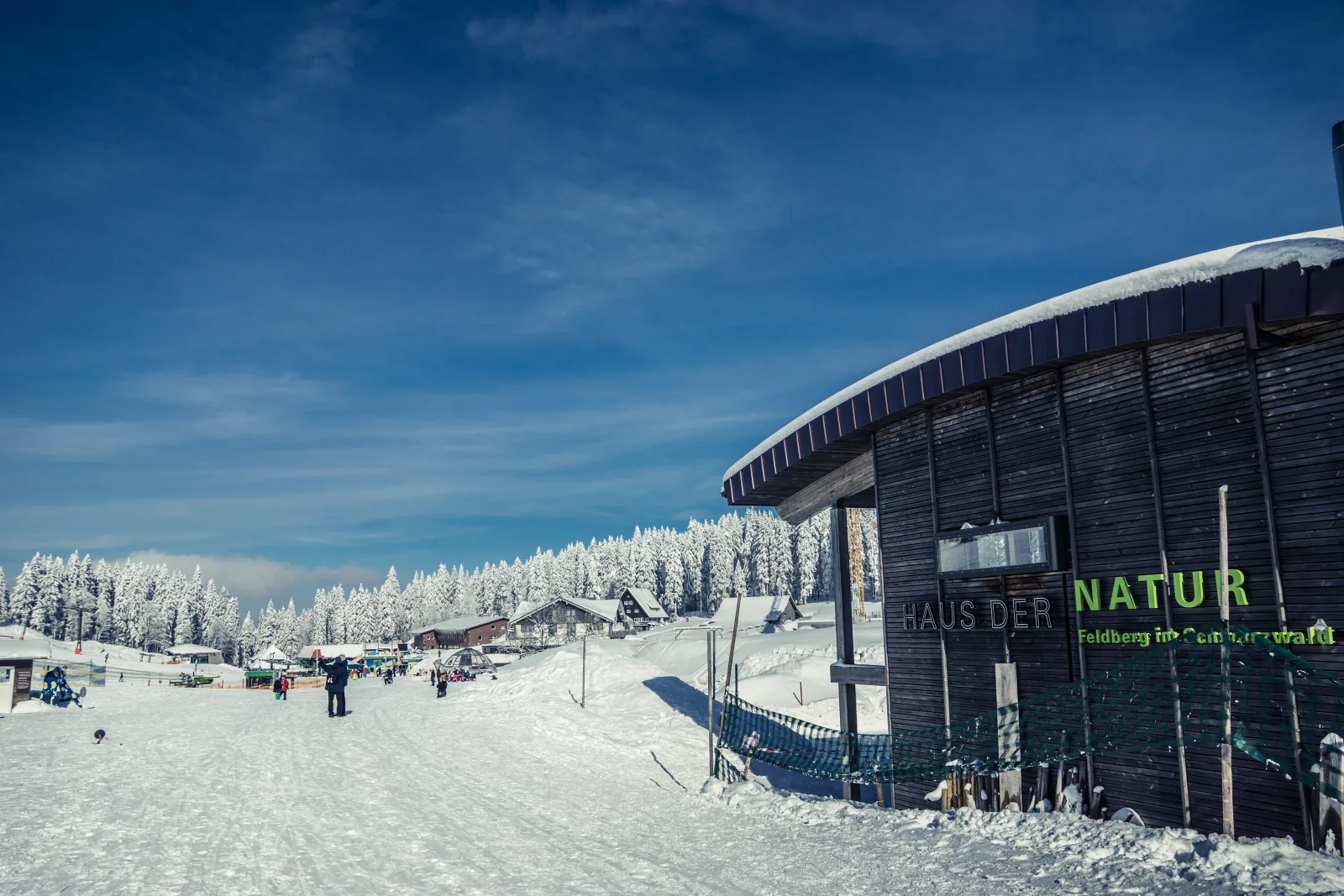 Haus der Natur (2).jpg