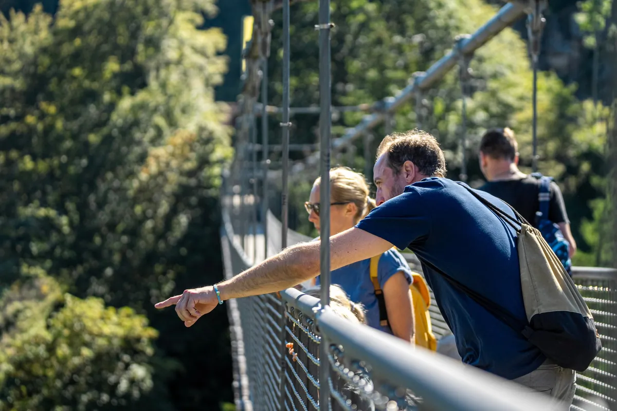 Zwei Personen auf einer Hängebrücke, einer zeigt in die Ferne, umgeben von grünem Wald.