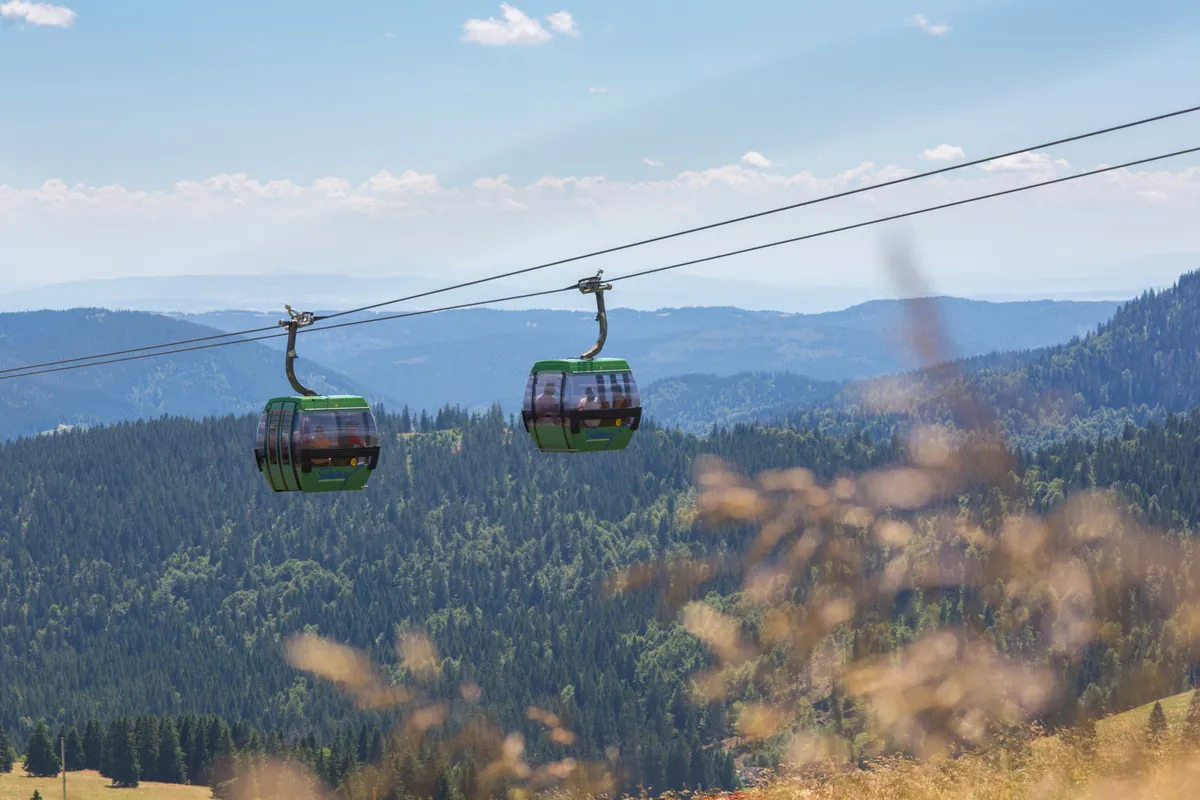 Zwei grüne Gondeln der Feldbergbahn über dem Schwarzwälder Bergwald mit weitem Panorama