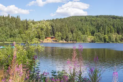 Windgfällweiher mit Waldufer, Badehaus in der Ferne und blühenden Blumen im Vordergrund