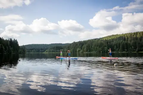 Drei Personen beim Stand Up Paddling auf ruhigem See, umgeben von bewaldeten Hügeln